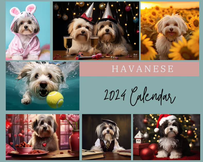 Havanese Calendar (2024) The Woofi Shop