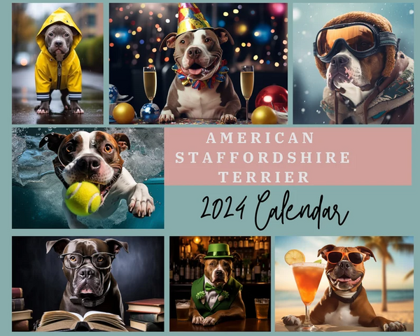 American Staffordshire Terrier Calendar (2024)
